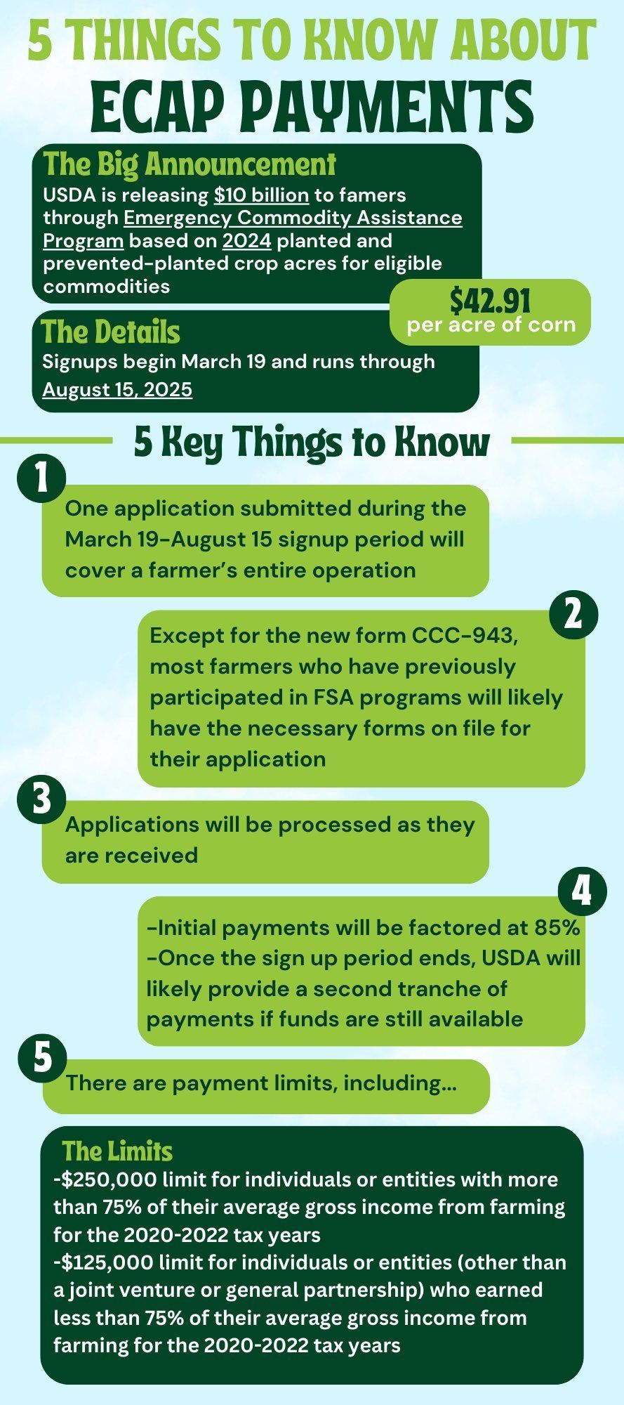 A poster that says 5 things to know about ecap payments