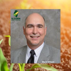 A man in a suit and tie is smiling in front of a corn plant.