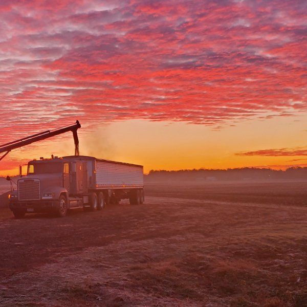 A semi truck is parked in a field at sunset.