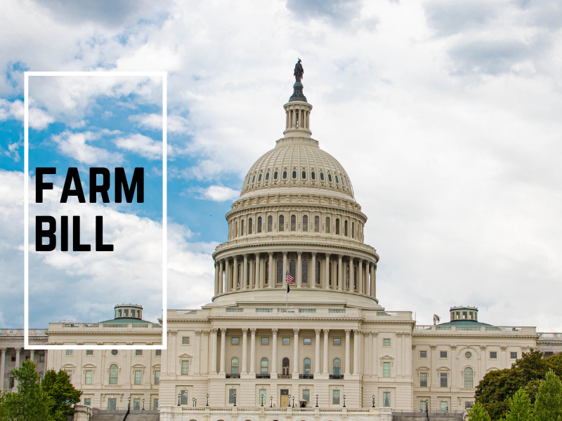Farm Bill text over the U.S. Capitol building under a partly cloudy sky