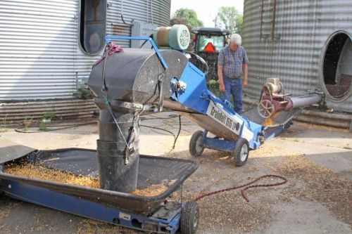 A man is standing next to a conveyor belt filled with corn.