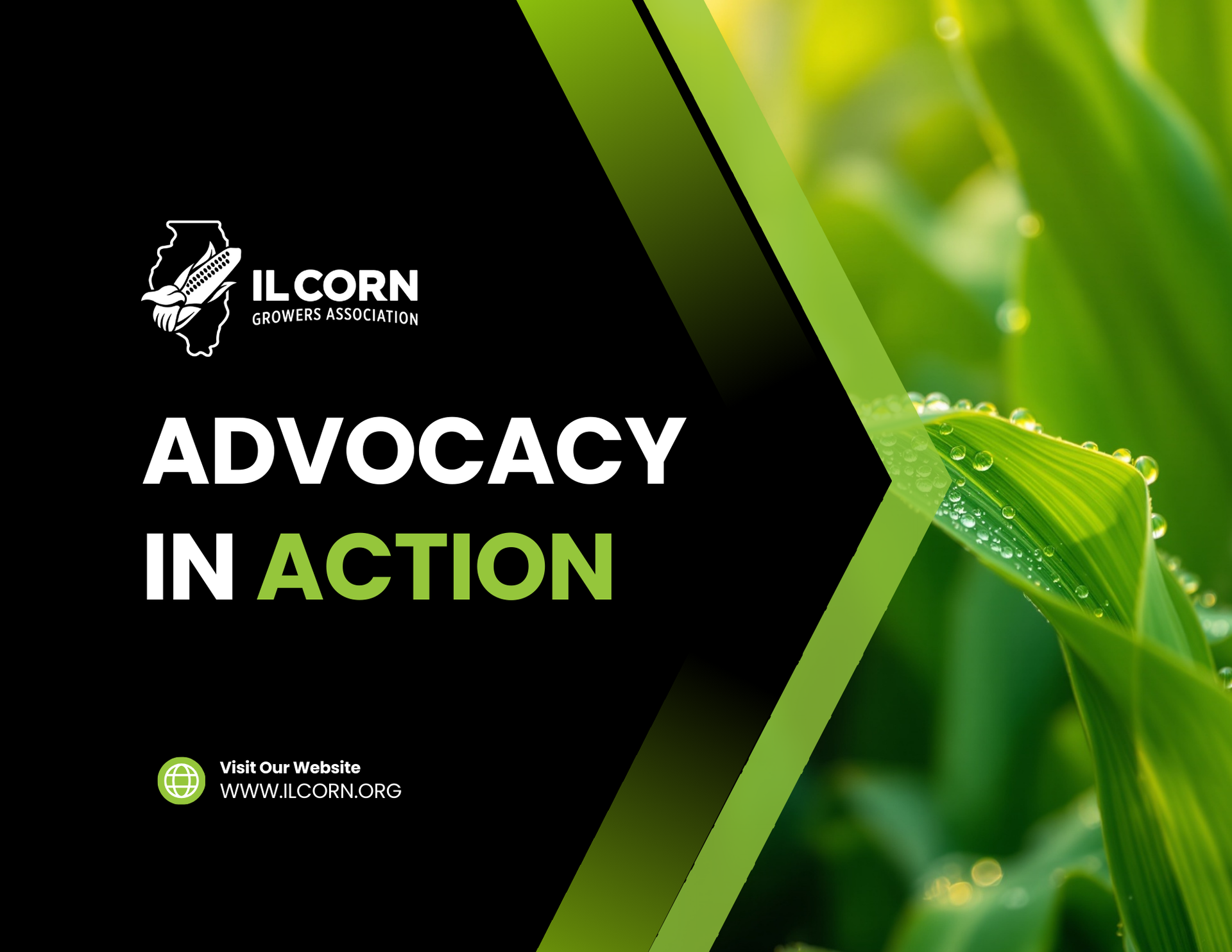 annual report cover page with corn graphics and black and green