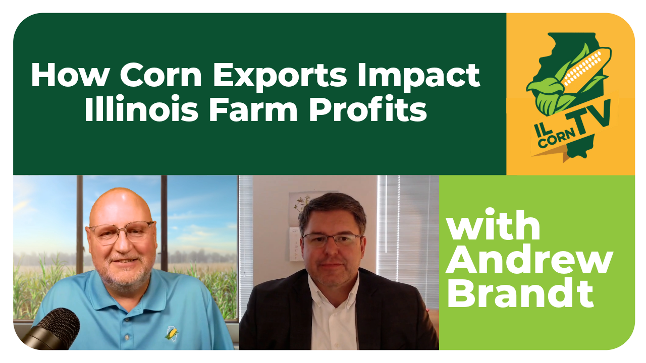 shane and Andrew on il corn tv