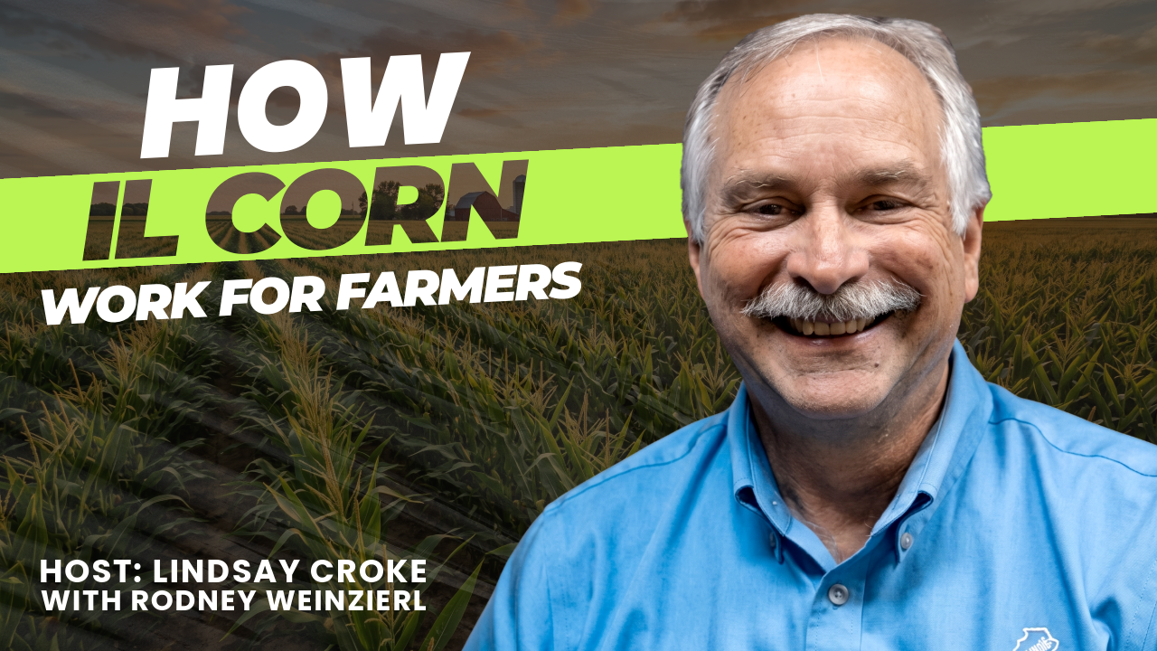 thumbnail of Rod Weinzierl