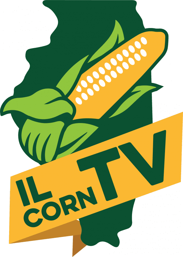 A logo for il corn tv with a corn on the cob