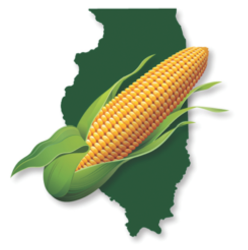 A corn on the cob in front of a map of illinois