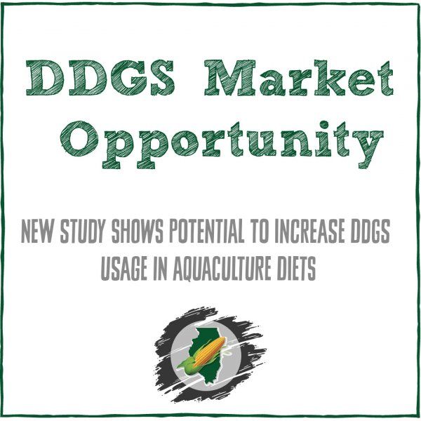 A poster for the ddgs market opportunity shows potential to increase ddgs usage in aquaculture diets