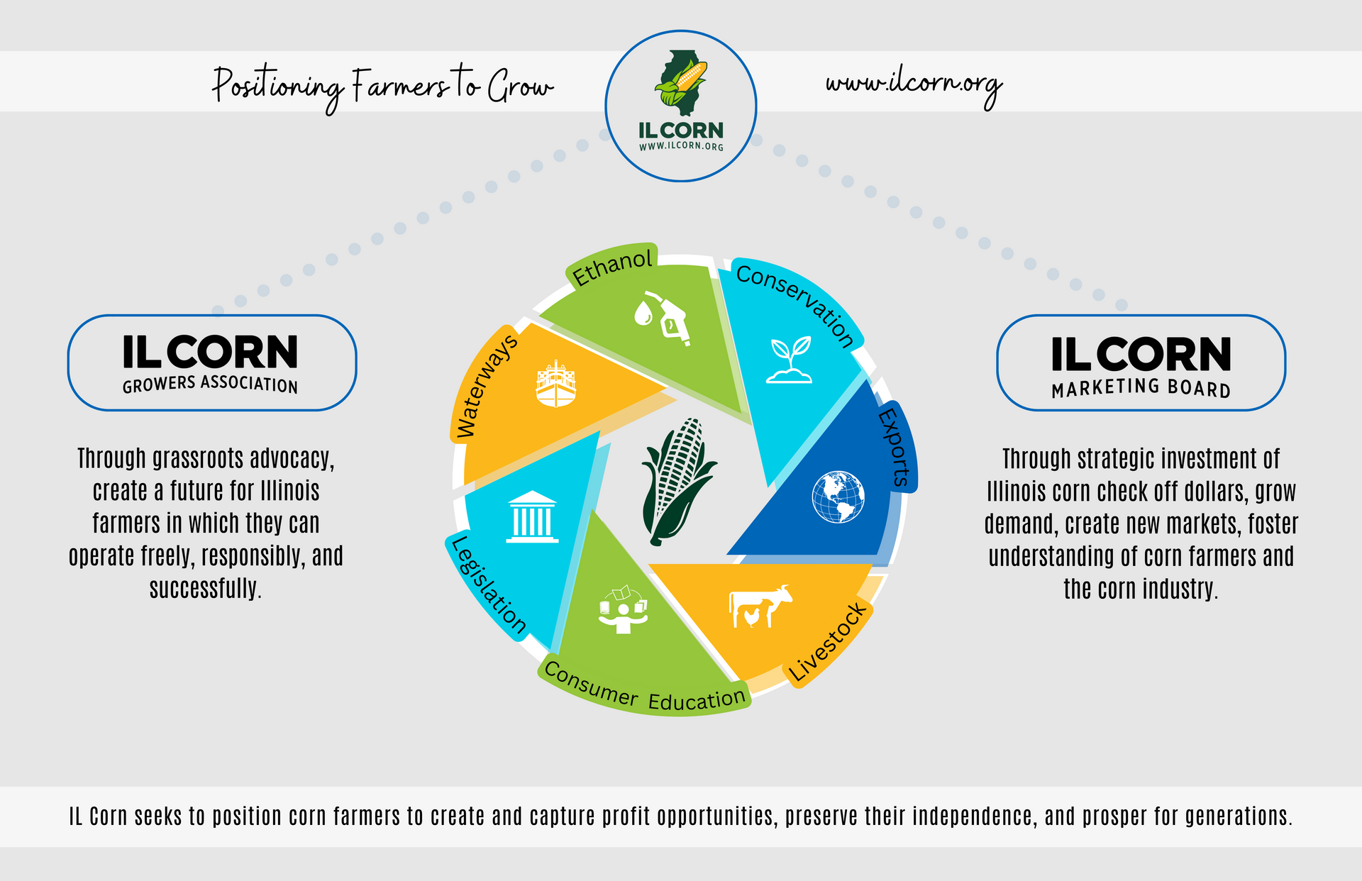 A diagram showing the process of growing corn.