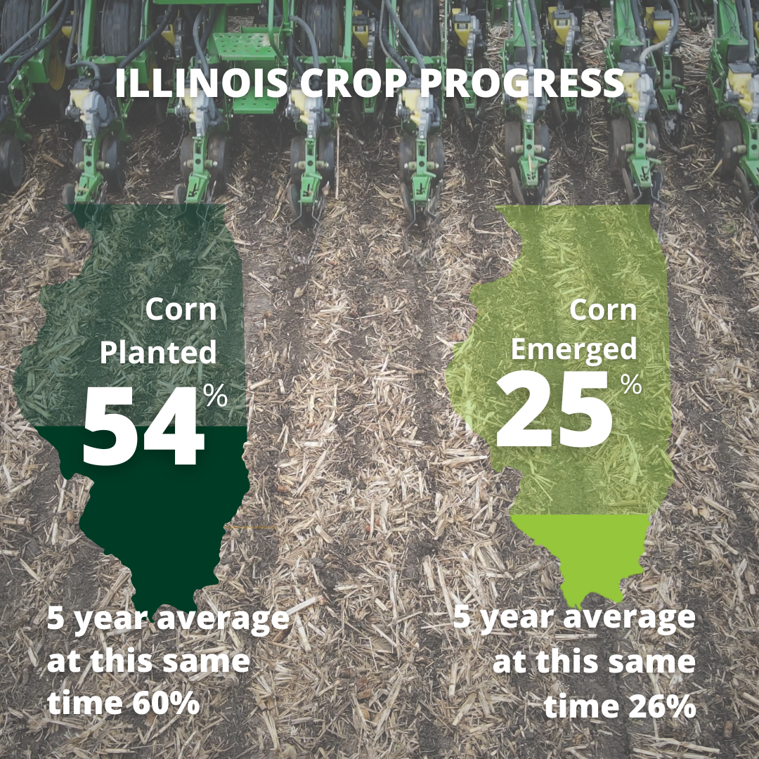 A graph showing the progress of corn planting in illinois