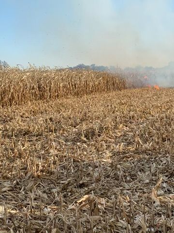 Burning cornfield with smoke billowing into the sky.