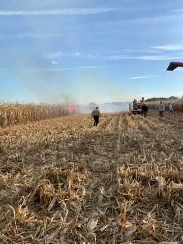 Field of harvested corn with smoke and people working.