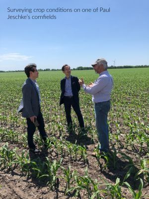 Three men are standing in a corn field talking to each other