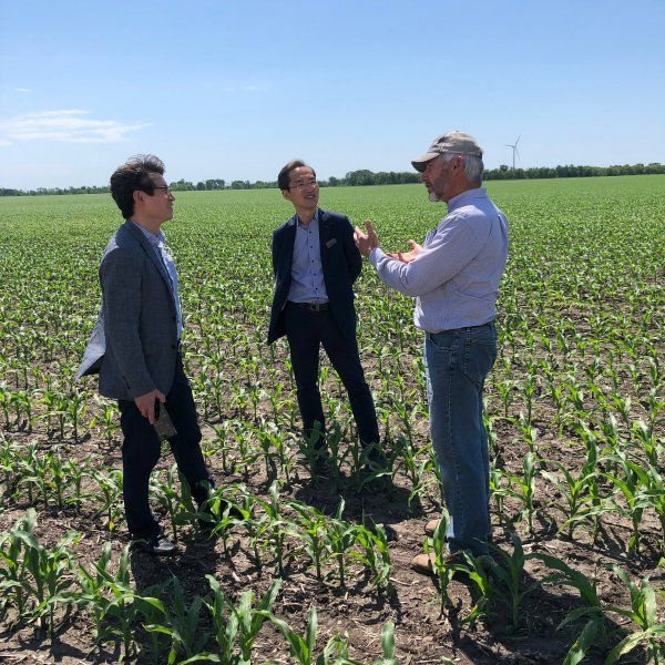 Three men are standing in a corn field talking to each other
