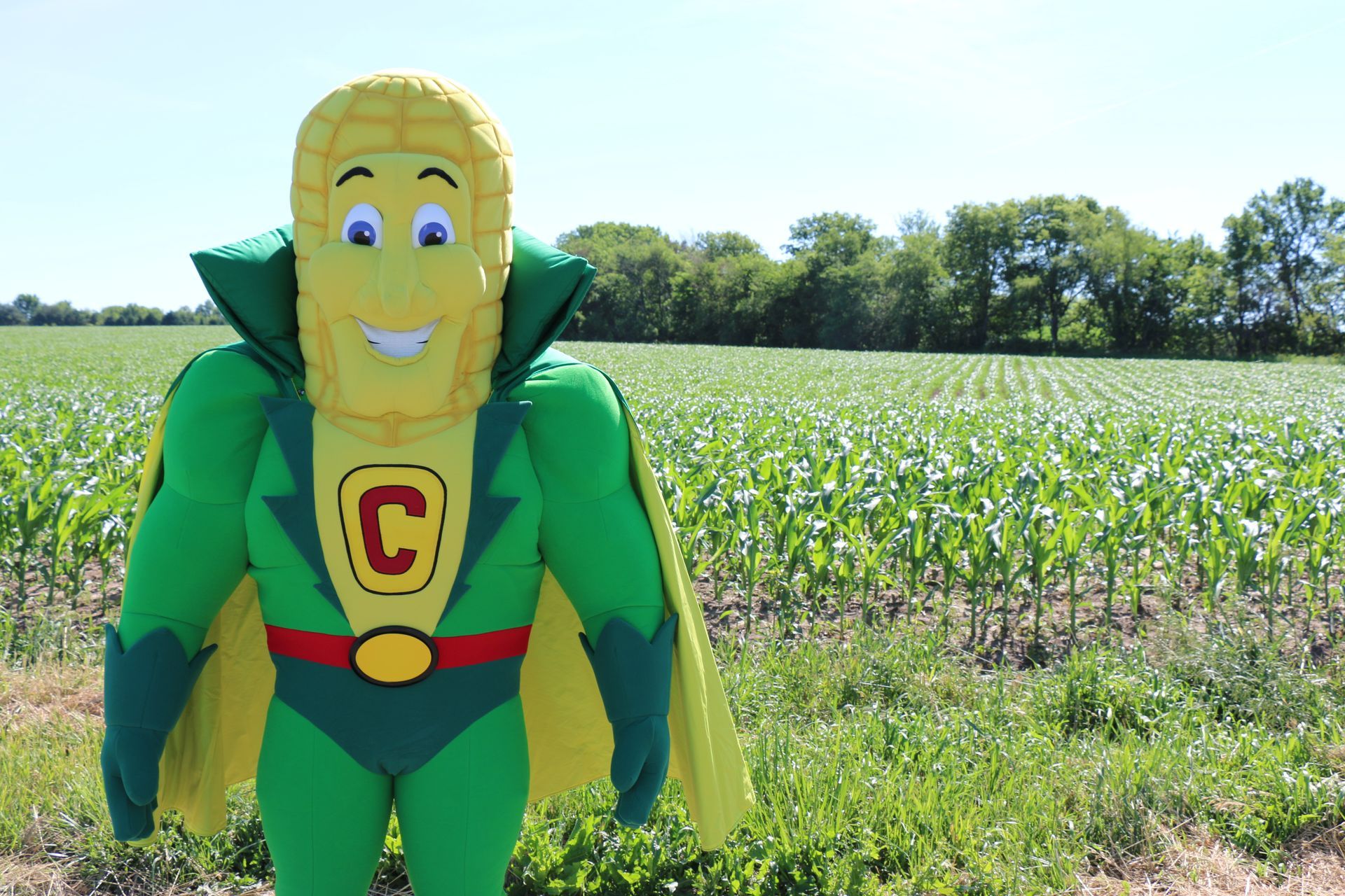 A mascot dressed as a corn on the cob is standing in a corn field.
