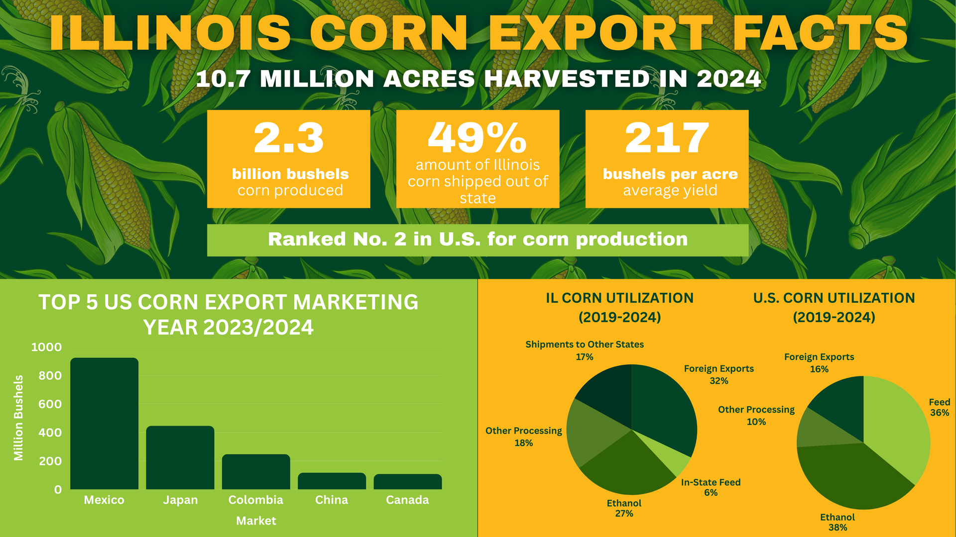 Infographic: Illinois corn export facts, including harvest acres, statistics, and top export markets.