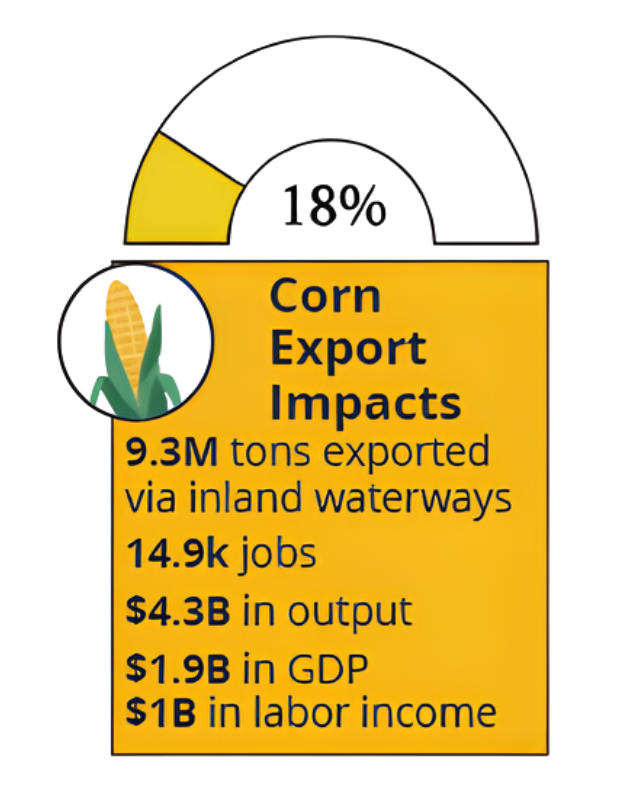Infographic showing corn export impacts: 18% pie chart, text about tons exported, jobs, output, GDP, and labor income.