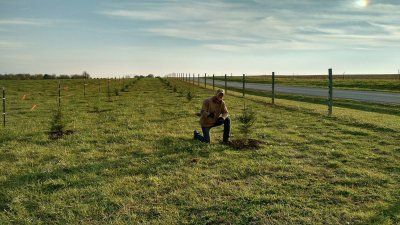 A man is kneeling down in a field planting a tree.