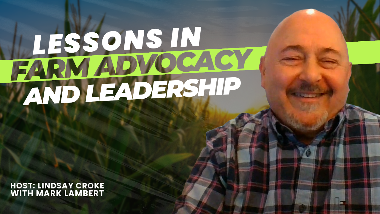 thumbnail Mark Lambert