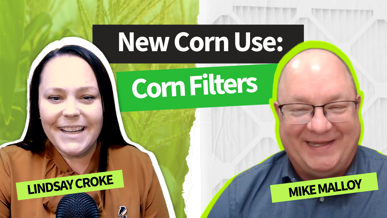 Lindsay thumbnail from IL Corn TV as a host