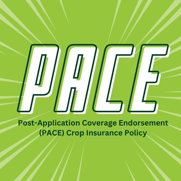 Pace post application coverage endorsement ( pace ) crop insurance policy