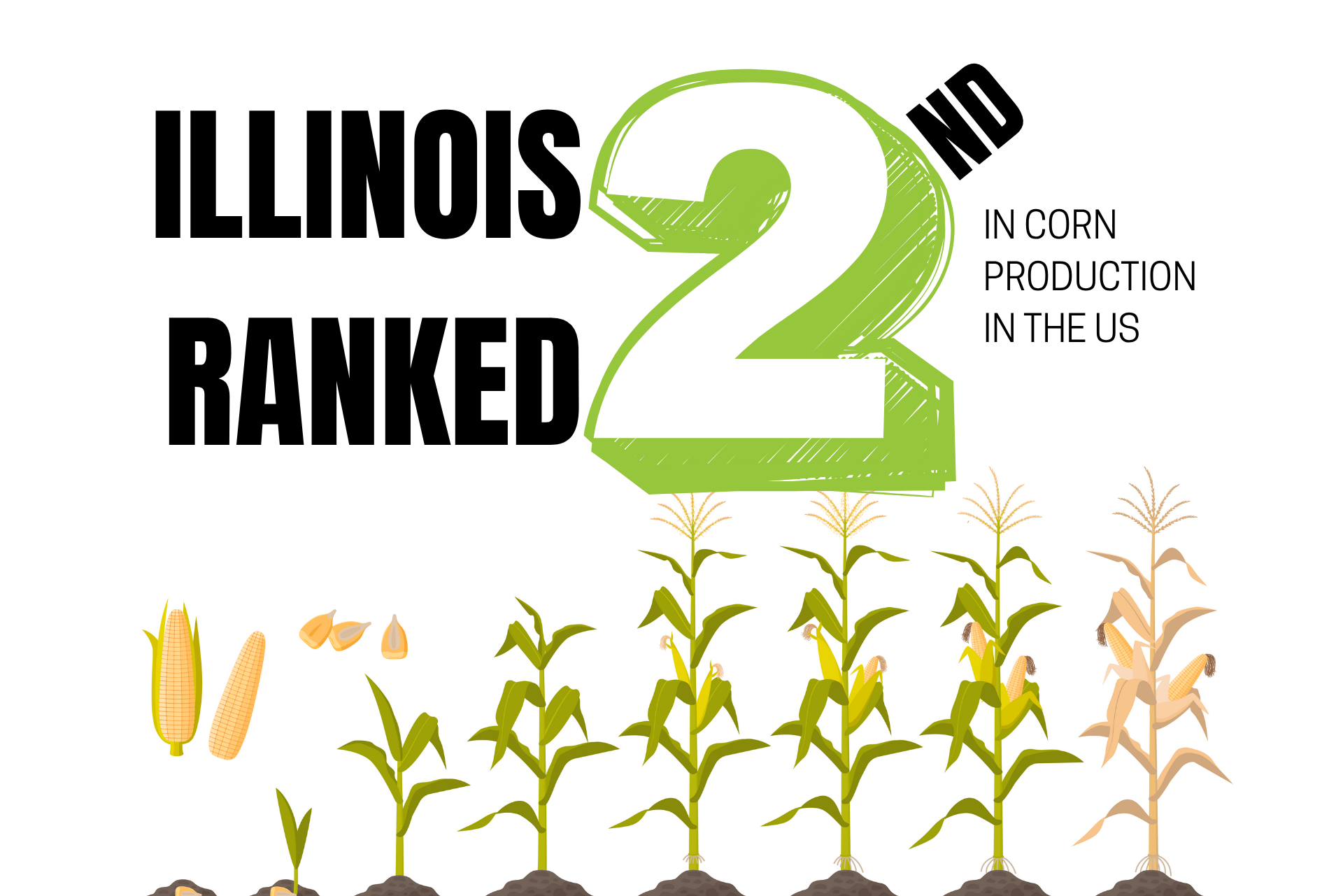 A poster that says illinois ranked 2nd in corn production in the us