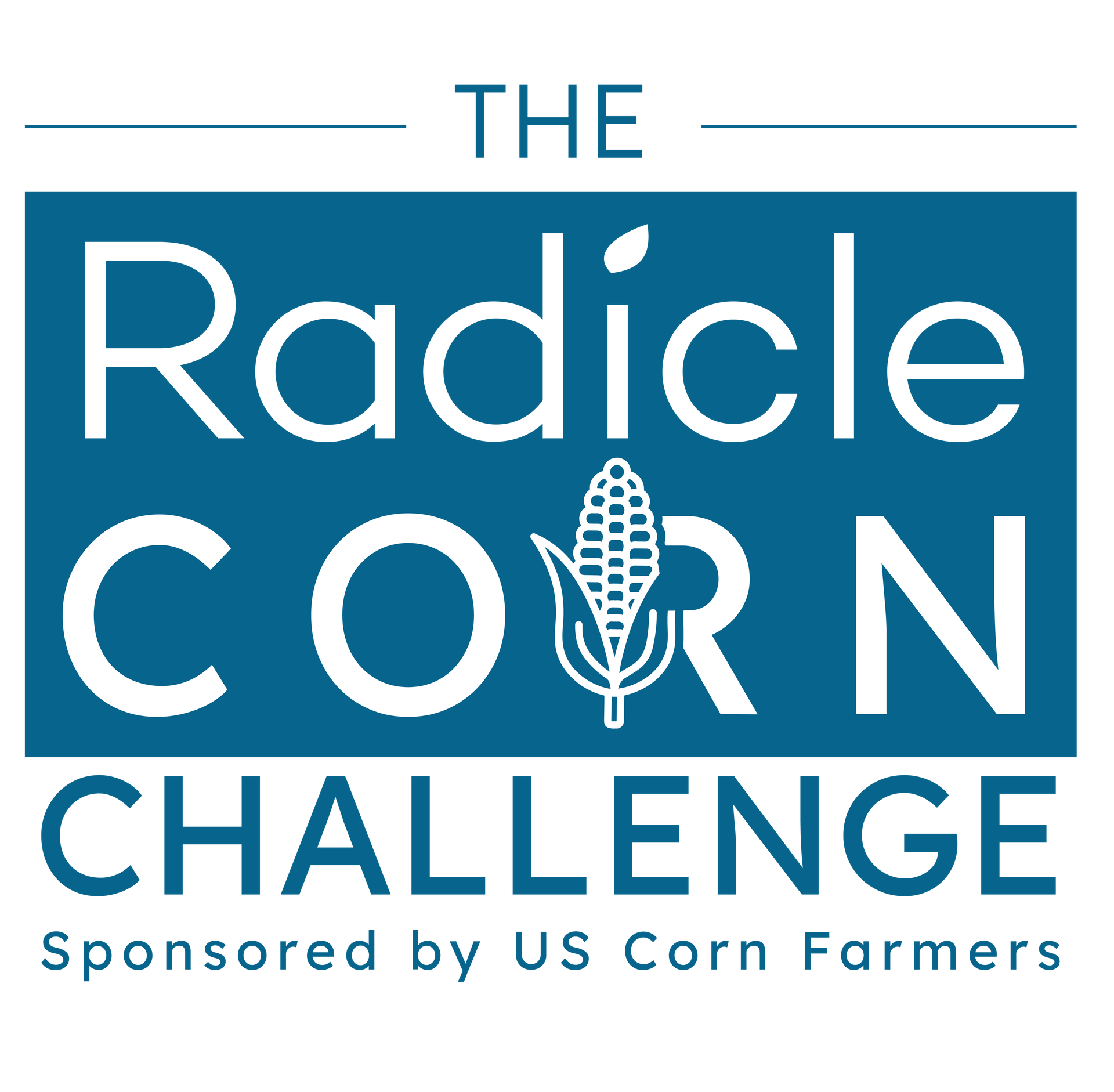radicle challenge logo