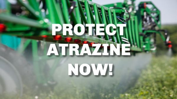 A green tractor spraying a field of flowers with the words `` protect atrazine now ''.