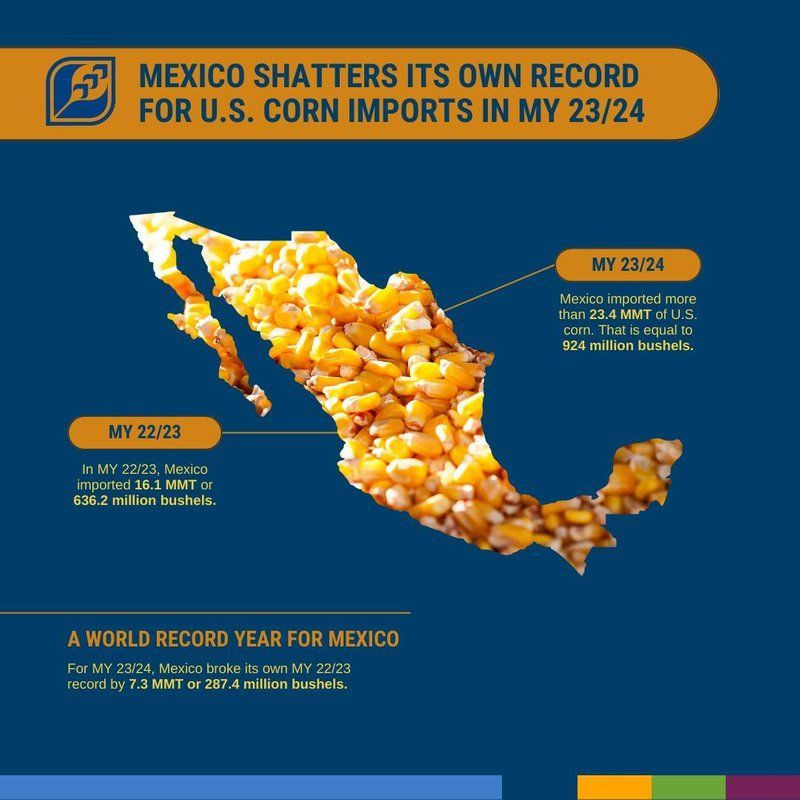 A poster that says mexico shatters its own record for u.s. corn imports in my 23/24