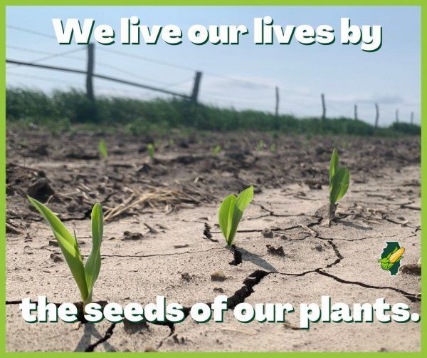 A poster that says we live our lives by the seeds of our plants