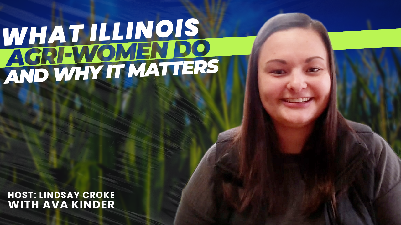 thumbnail of Ava on IL Corn TV