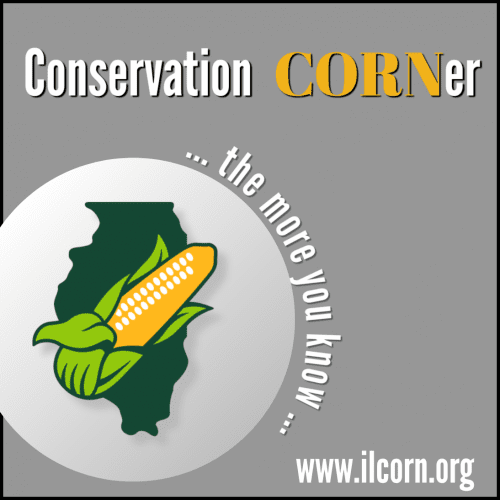 A logo for the conservation corner with a corn on the cob