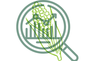 A magnifying glass with a wheat ear and a graph on it.