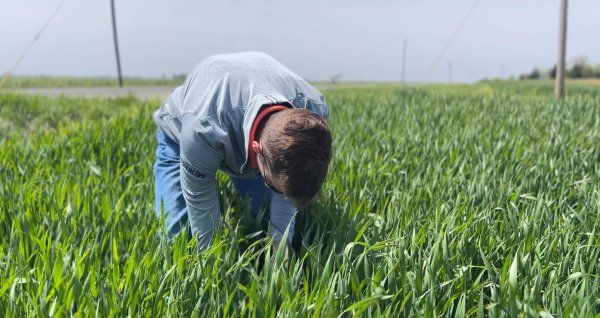 A man is kneeling down in a field of grass.