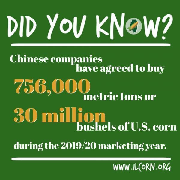 Chinese companies have agreed to buy 750,000 metric tons or 30 million bushels of u.s. corn during the 2019/20 marketing year