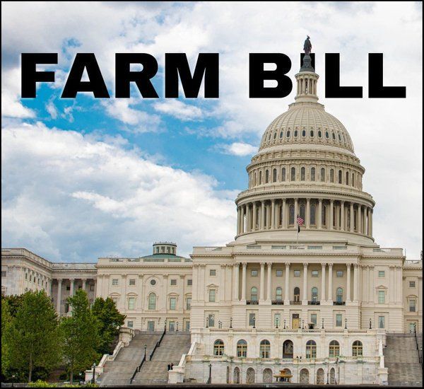 Farm Bill text over the U.S. Capitol building under a partly cloudy sky