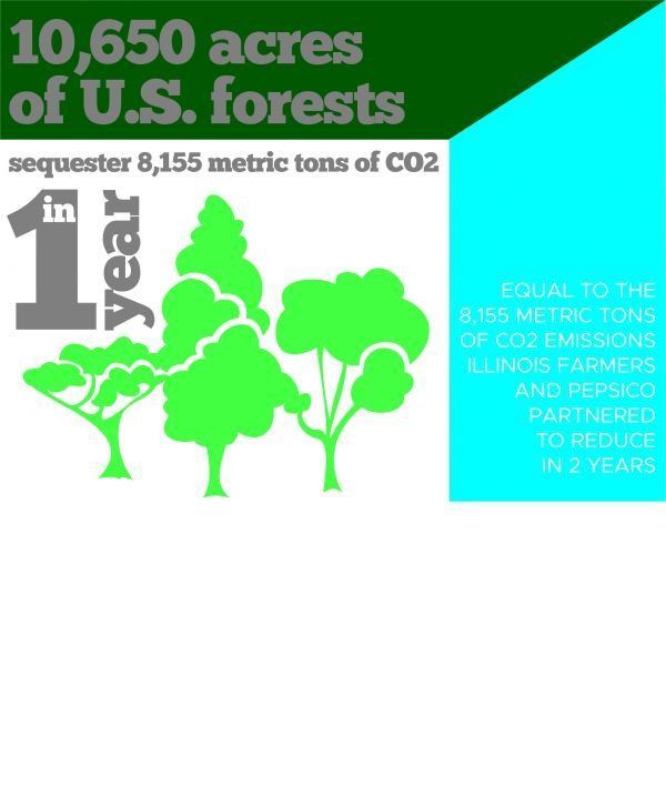 A poster that says 10,650 acres of u.s. forests in 1 year