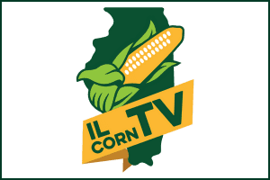 A logo for il corn tv with a corn on the cob