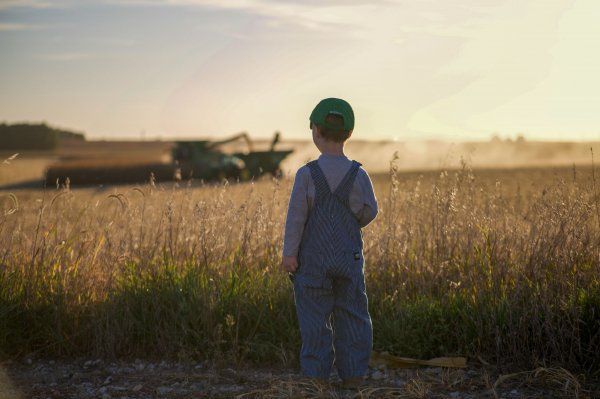 A young boy is standing in a field looking at a combine harvester.