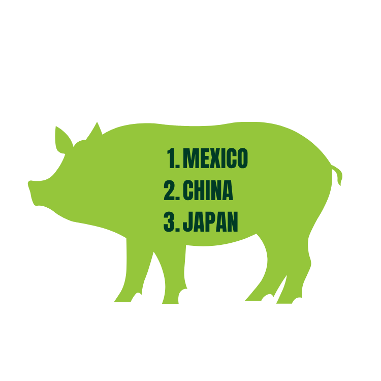 Green pig silhouette with