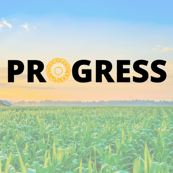 A picture of a field with the word progress on it