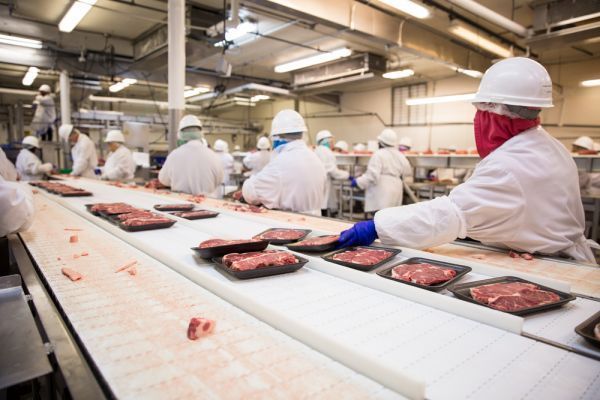 A group of people are working in a meat factory.