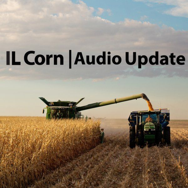 A picture of a combine harvester in a field with the words il corn audio update below it
