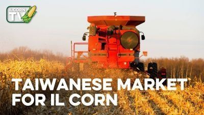 A taiwanese market for il corn is being advertised