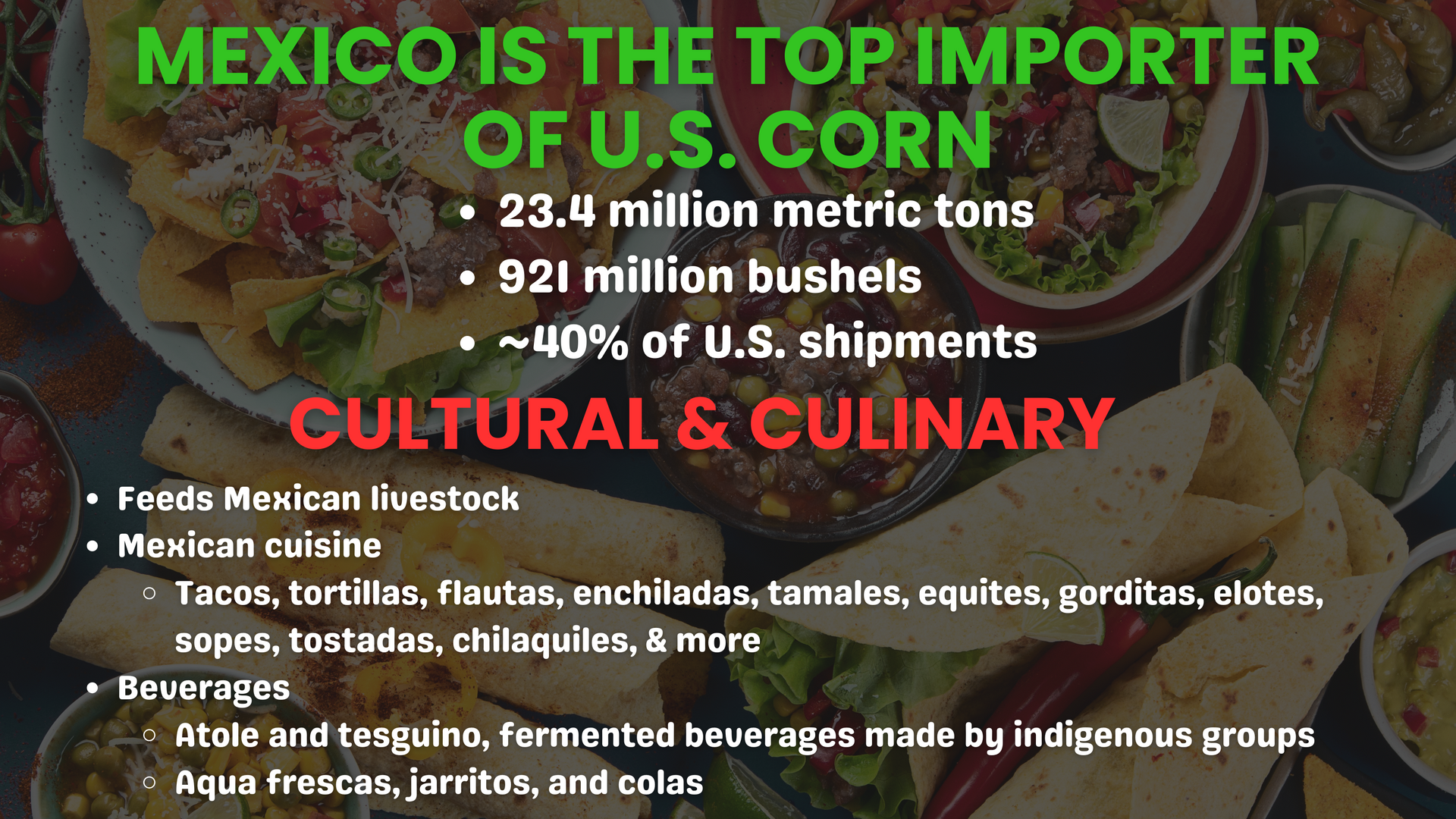 Infographic: U.S. corn exports to Mexico, including data on volume and uses in Mexican cuisine & beverages.