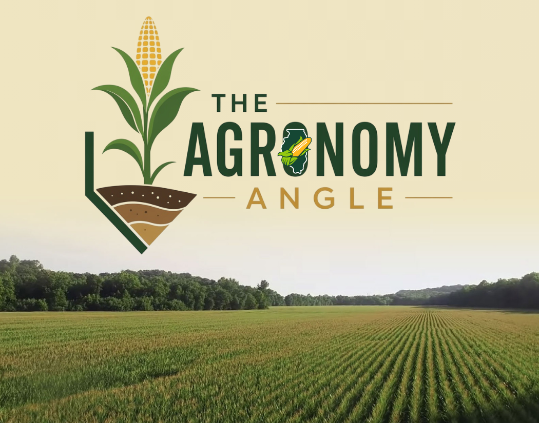 Agronomy Angle Logo