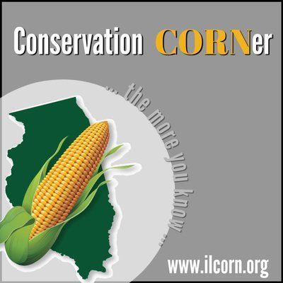 A logo for the conservation corner with a corn on the cob