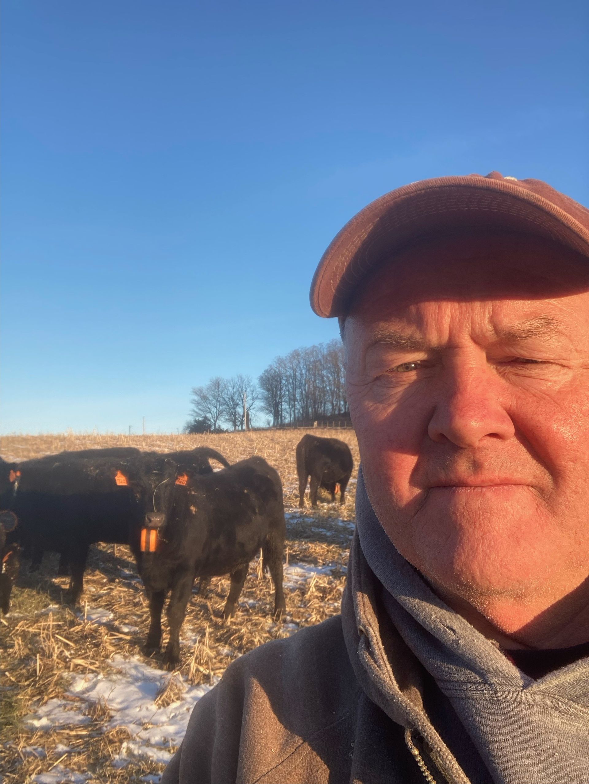 Greg Thoren with livestock