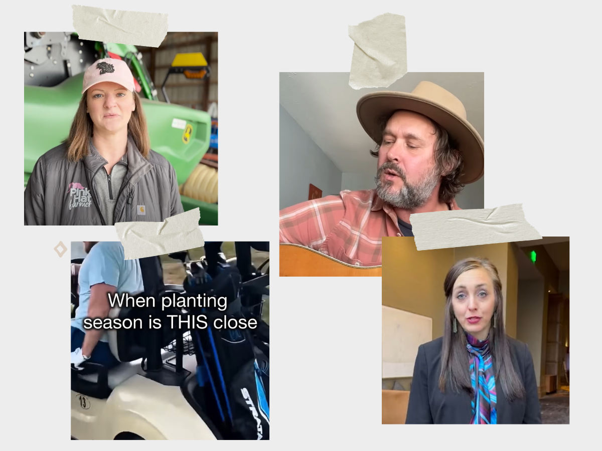 thumbnail of different videos