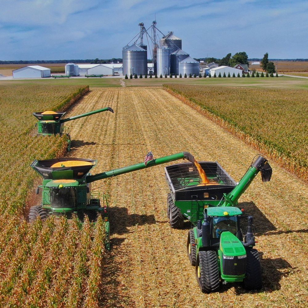 A group of tractors are working in a corn field