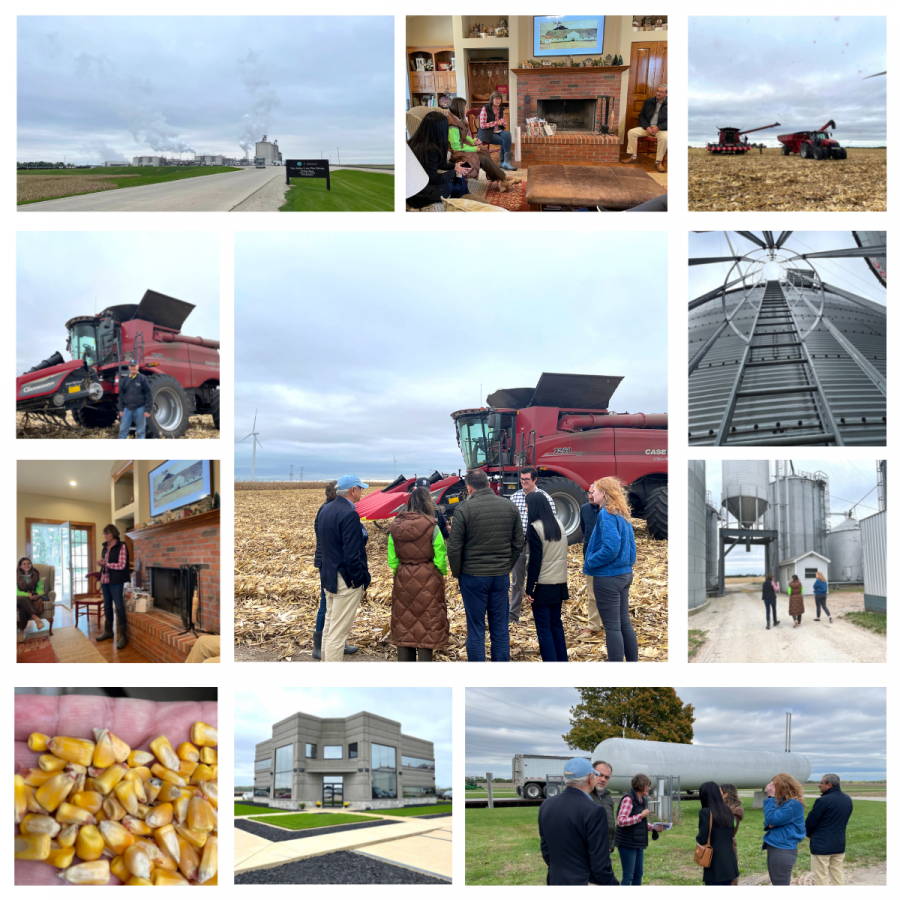 A collage of pictures shows people standing in a field and a house